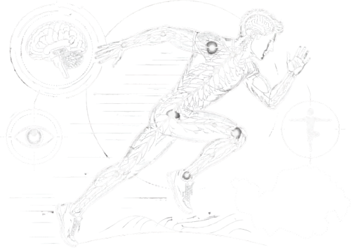 Neuroathletik für Sportler und Vereine in Niederbayern